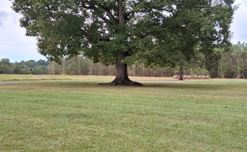 Haus in New Albany, Mississippi, Vereinigte Staaten 1