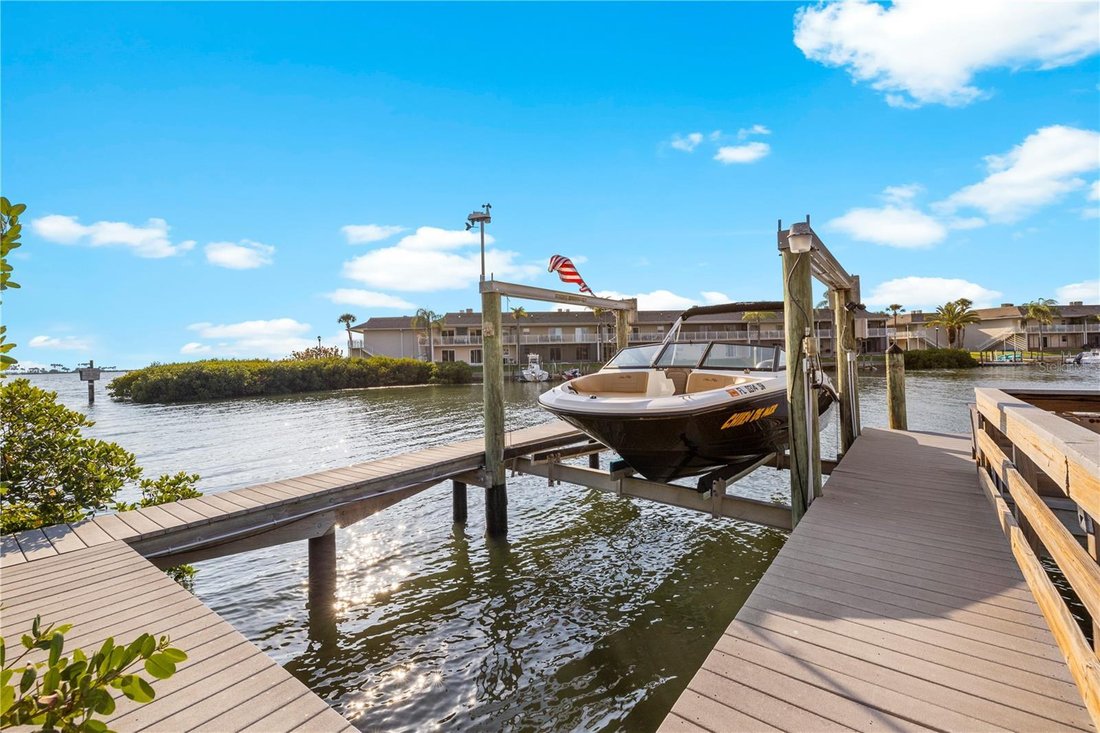 House in Tampa, Florida, United States 4 - 17613188