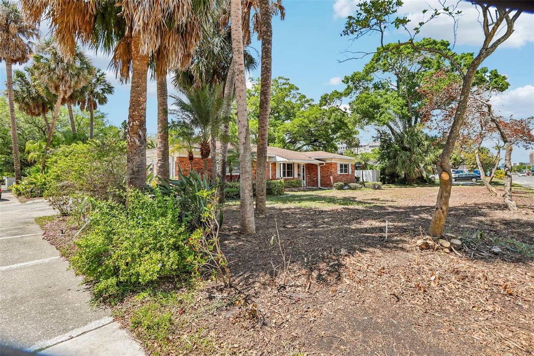 House in Tampa, Florida, United States 5 - 17603777