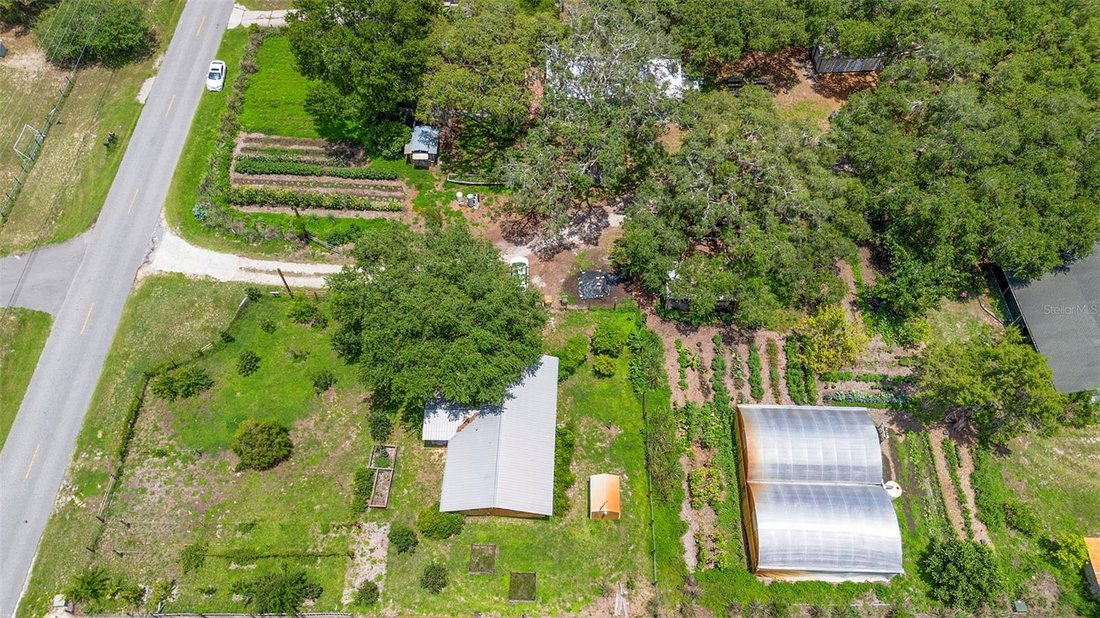 Farm Ranch in Leesburg, Florida, United States 4 - 17603495