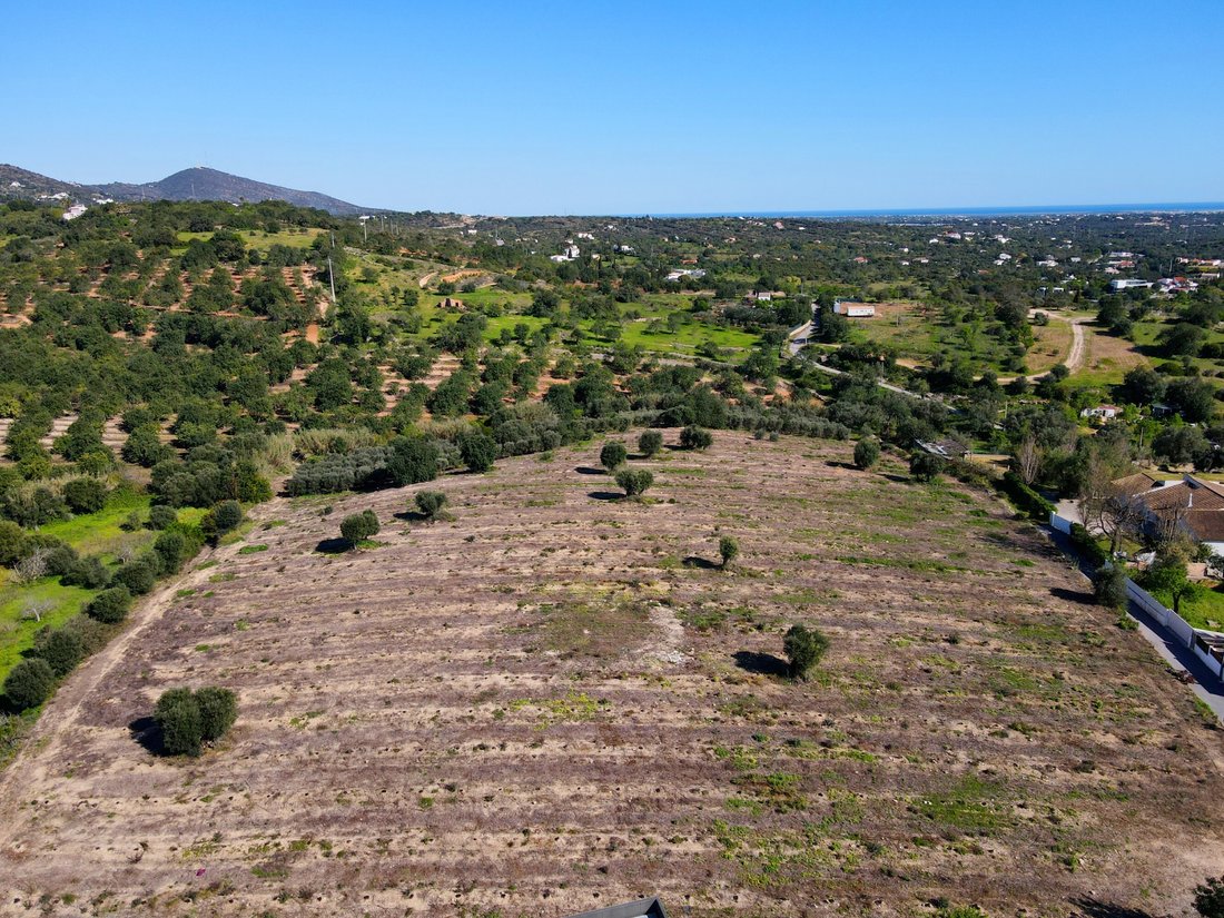 Land in Estoi, Algarve, Portugal 1 - 17613276