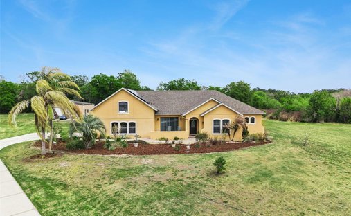 House in Groveland, Florida, United States 1