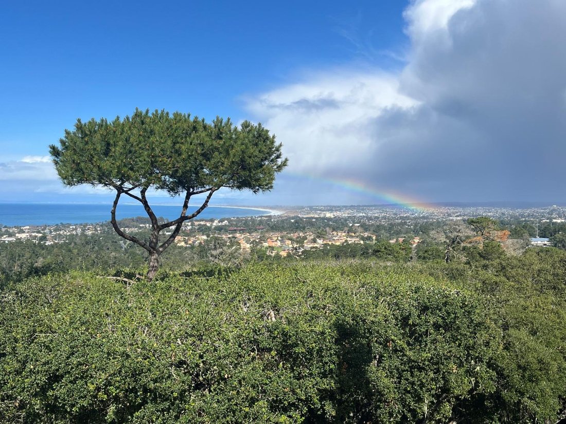 House in Carmel-by-the-Sea, California, United States 5 - 17600518