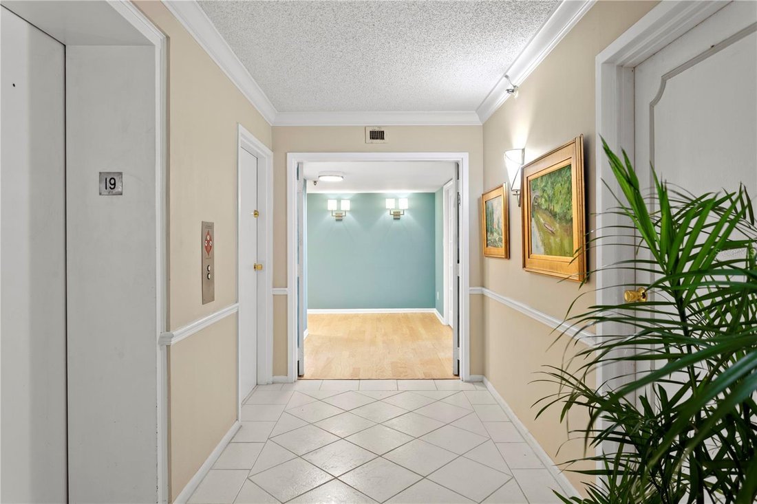 Condo in Tampa, Florida, United States 3 - 17604041