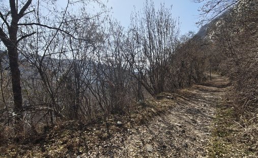 Land in Cavarzano - Baldenich - Nogaré, Belluno, Veneto 1