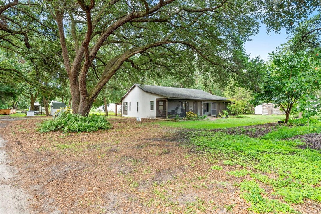Farm Ranch in Leesburg, Florida, United States 2 - 17603495