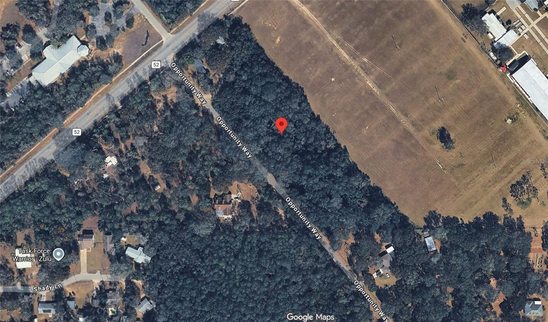 House in Dade City, Florida, United States 5 - 17603404