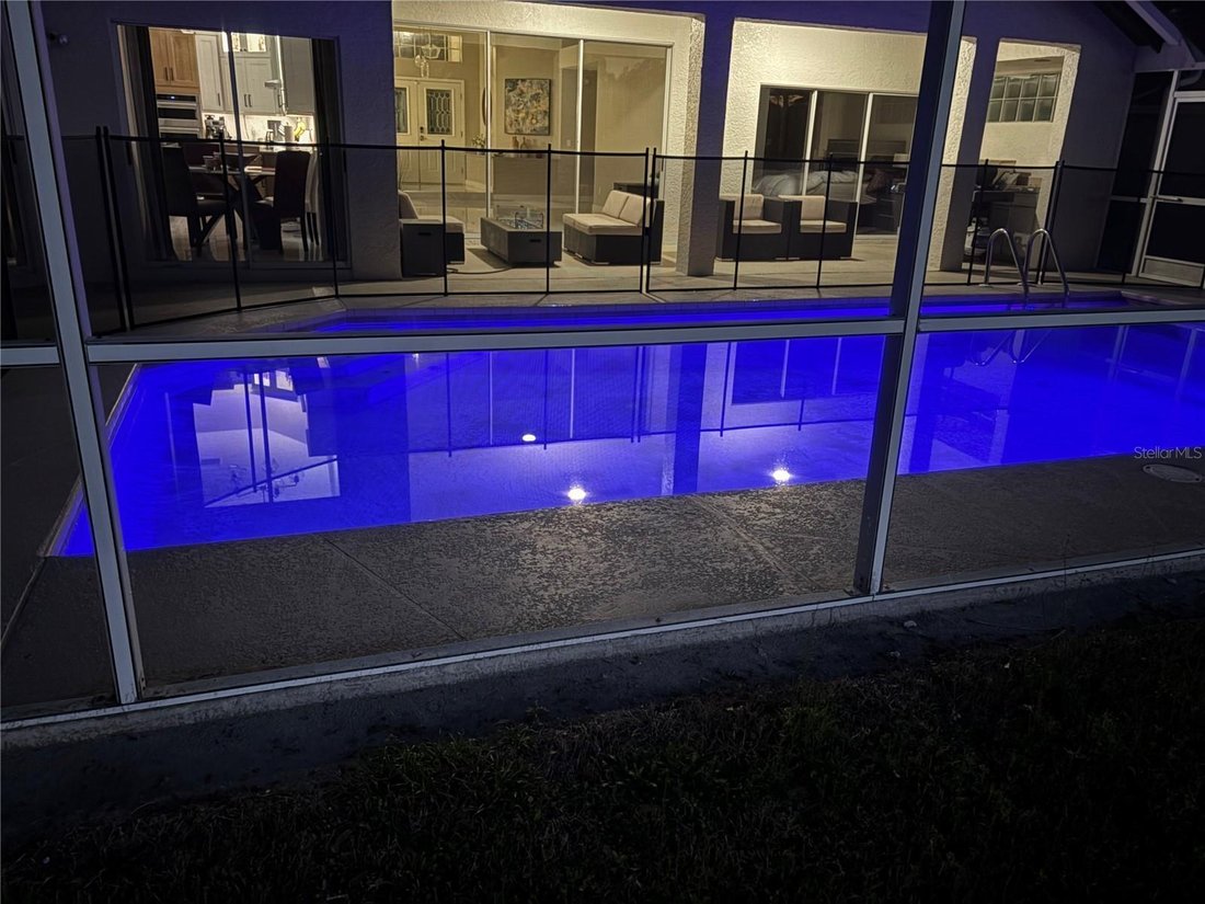 House in Lutz, Florida, United States 4 - 17288552