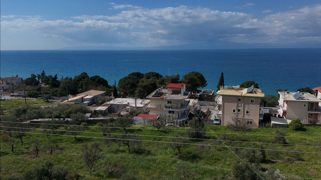 Land in Verga Community, Peloponnese, Western Greece and the Ionian, Greece 5 - 17603169
