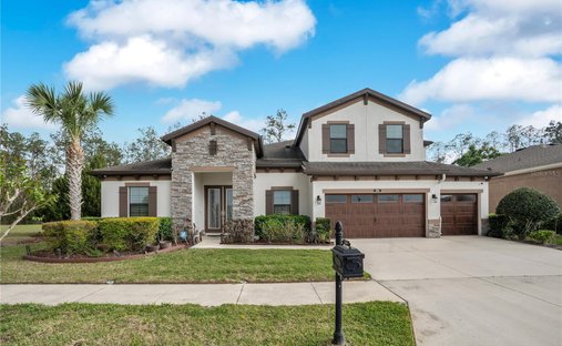 House in Land O' Lakes, Florida, United States 1