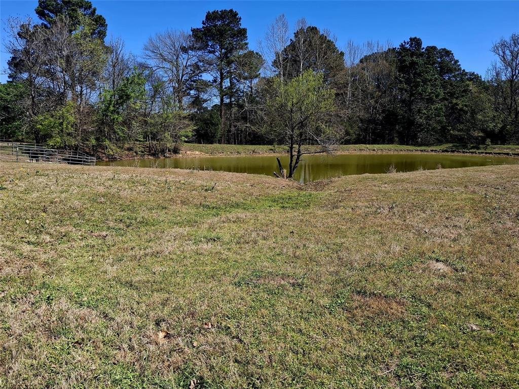 Farm Ranch in Jacksonville, Texas, United States 5 - 17610496