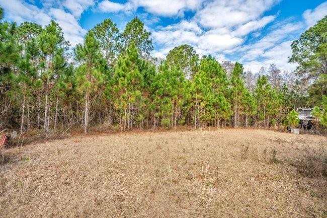 House in Groveland, Florida, United States 4 - 17604265