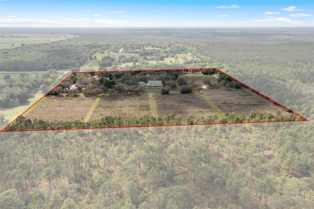 House in Lecanto, Florida, United States 3 - 17604437