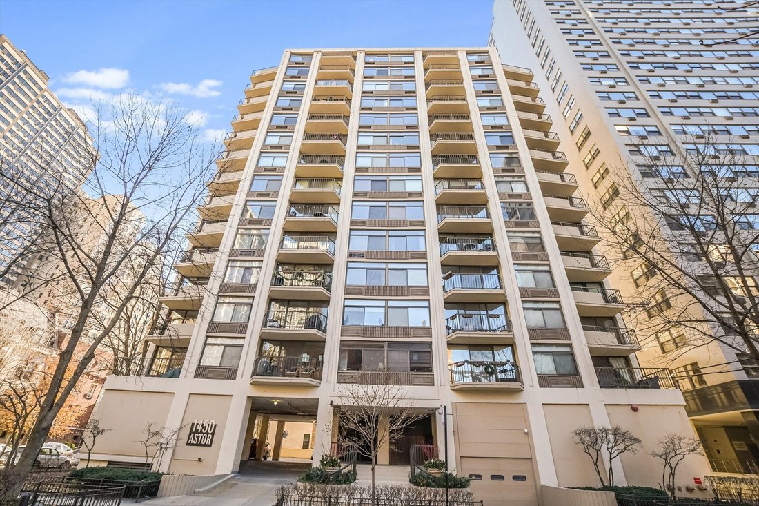 Condo in Chicago, Illinois, United States 1 - 17608087