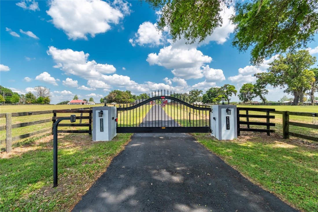 Land in Reddick, Florida, United States 3 - 17603988