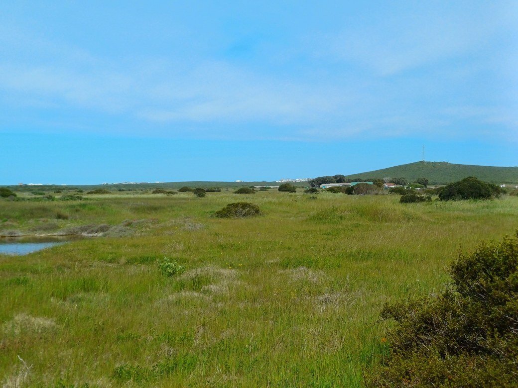 Land in Yzerfontein, Western Cape, South Africa 5 - 16289345