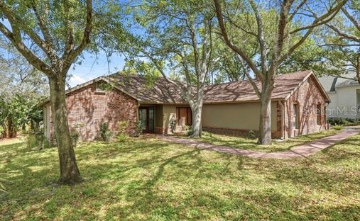 House in Dunedin, Florida, United States 1