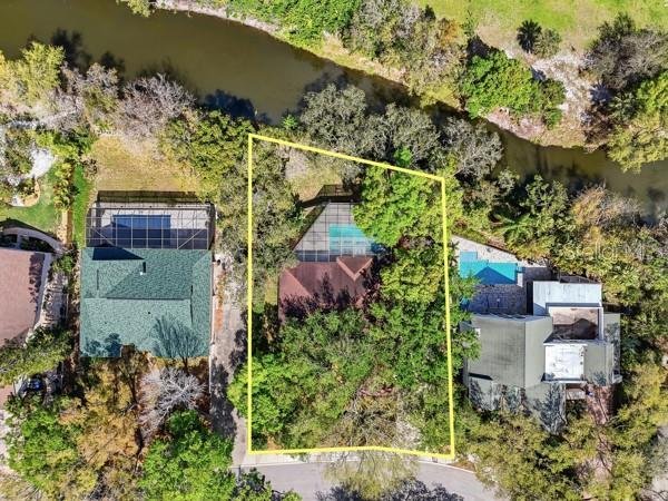 House in Dunedin, Florida, United States 4 - 17604345