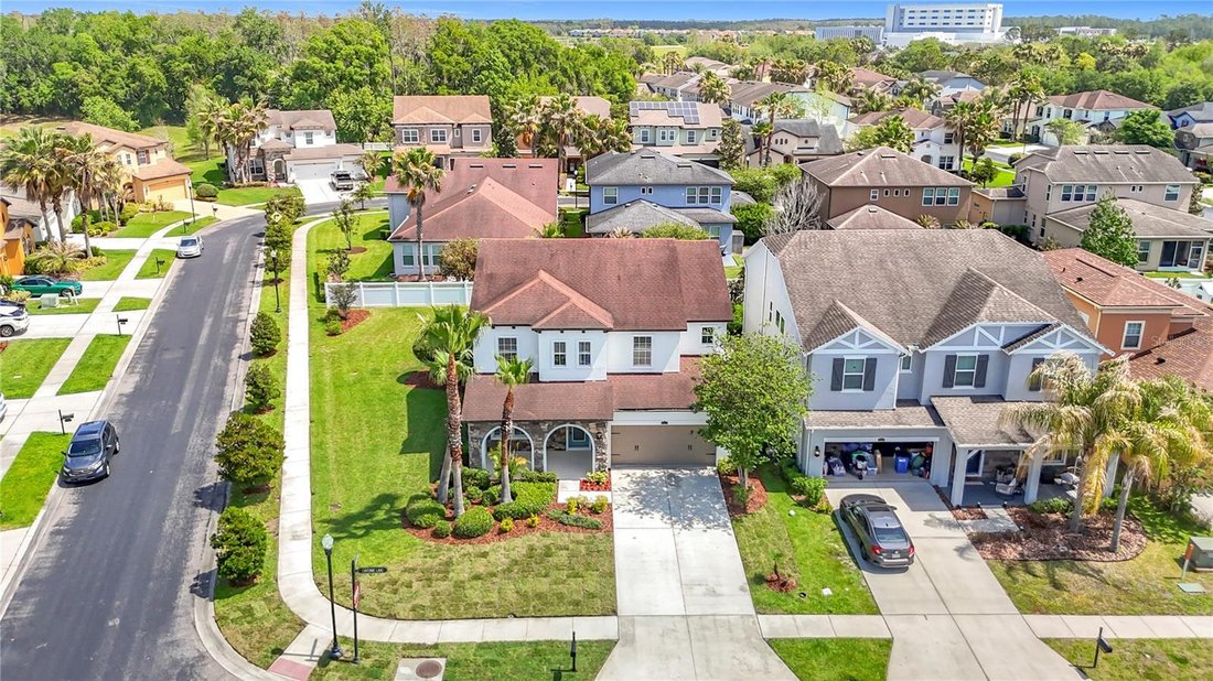 House in Wesley Chapel, Florida, United States 4 - 17604665