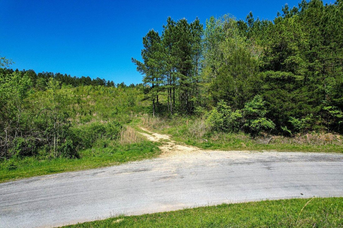 Farm Ranch in Decatur, Tennessee, United States 2 - 17611917