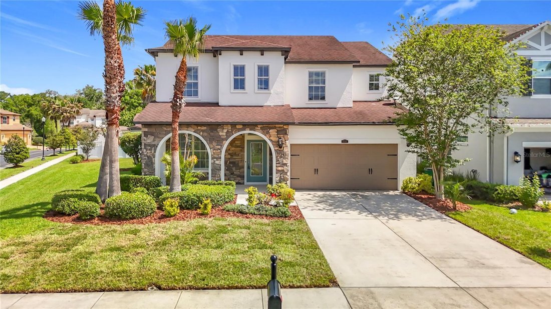 House in Wesley Chapel, Florida, United States 1 - 17604665
