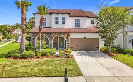 House in Wesley Chapel, Florida, United States 1