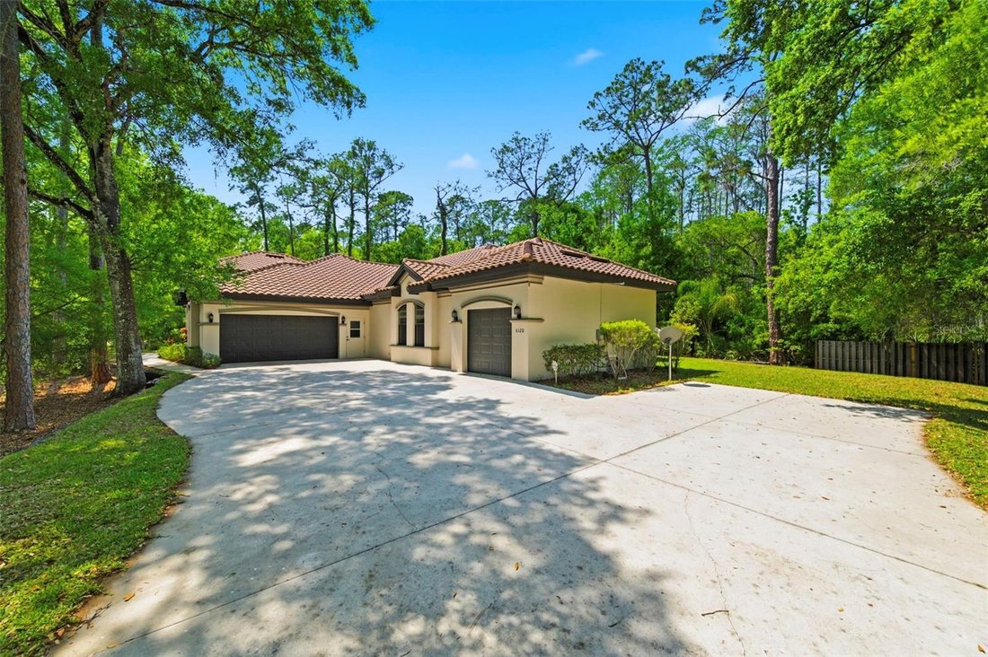 House in Palm Harbor, Florida, United States 4 - 17605098