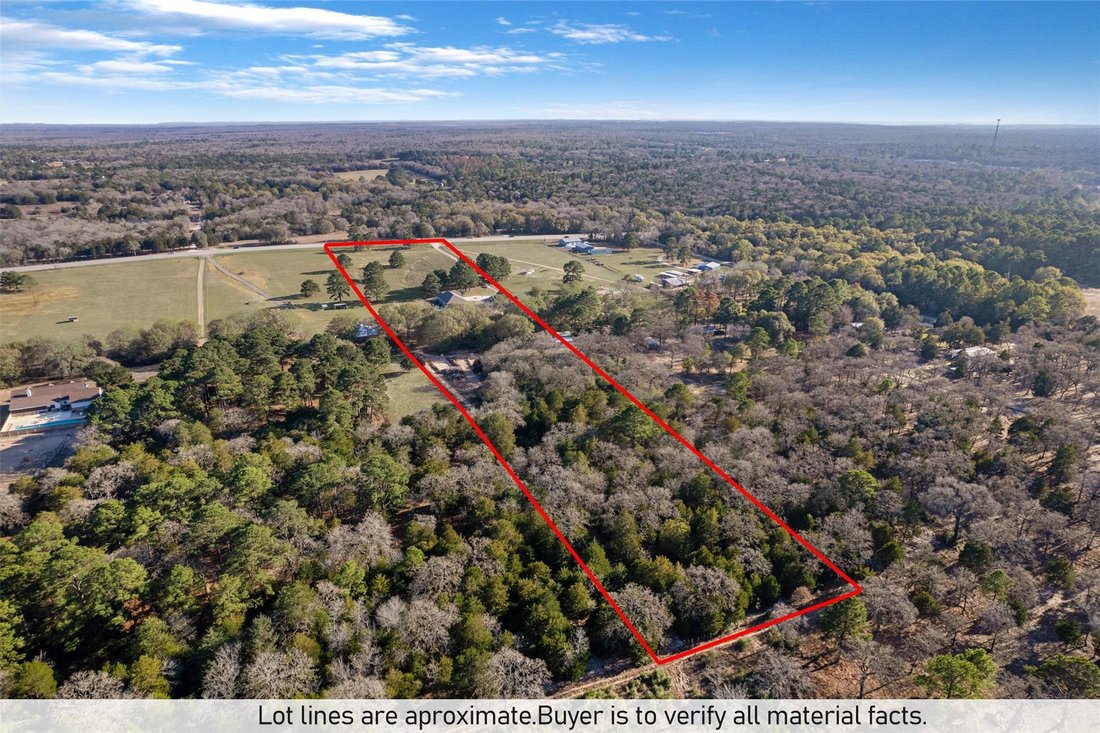 House in Paige, Texas, United States 5 - 17611607