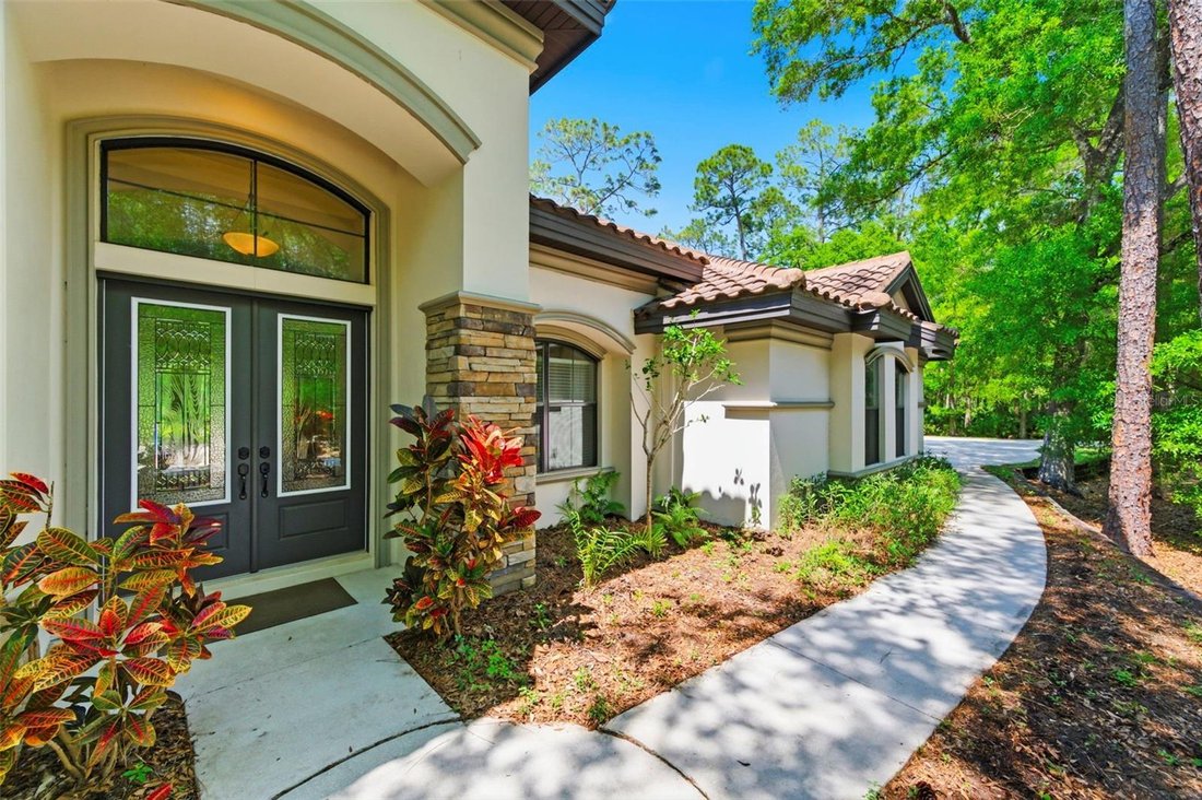 House in Palm Harbor, Florida, United States 2 - 17605098