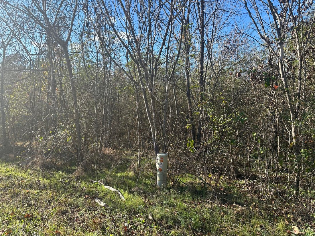 Terreno en Decatur, Tennessee, Estados Unidos 1 - 17611930