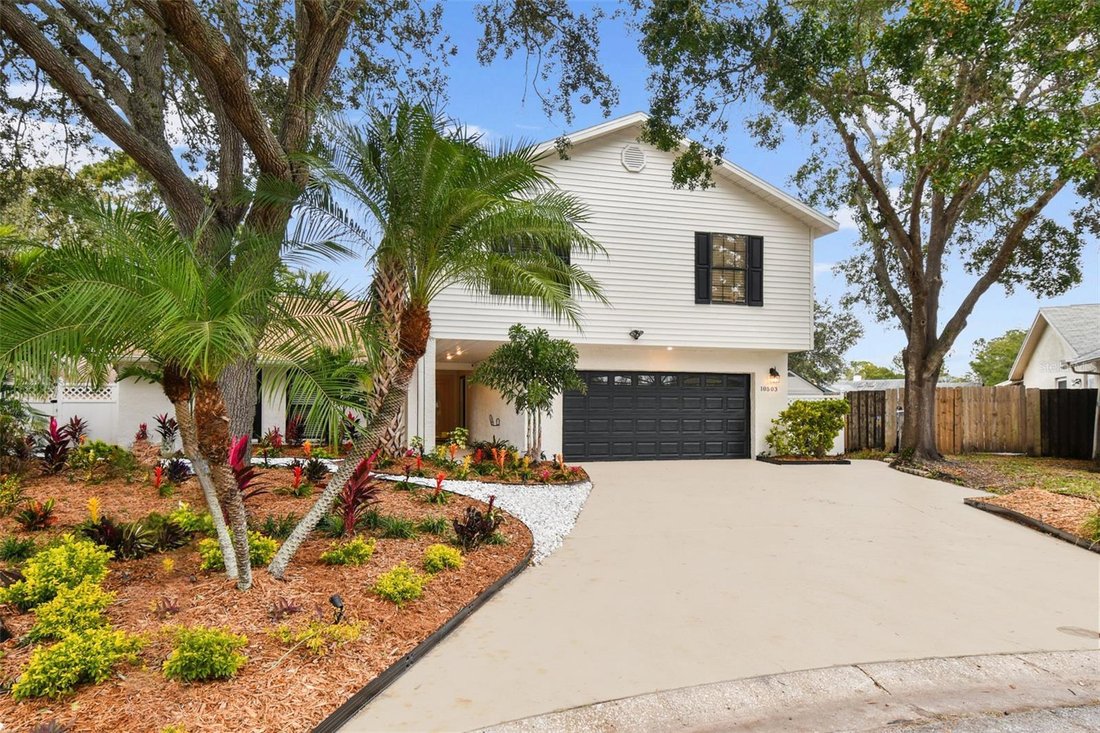 House in Tampa, Florida, United States 1 - 17603765