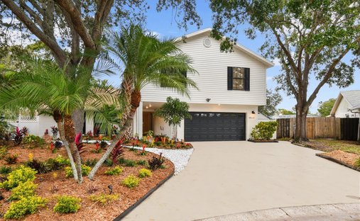 Haus in Tampa, Florida, Vereinigte Staaten 1