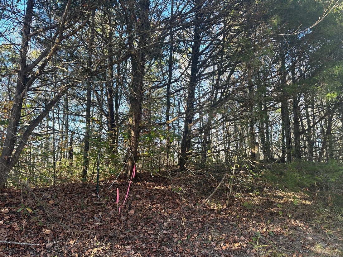 Terreno en Decatur, Tennessee, Estados Unidos 4 - 17611930