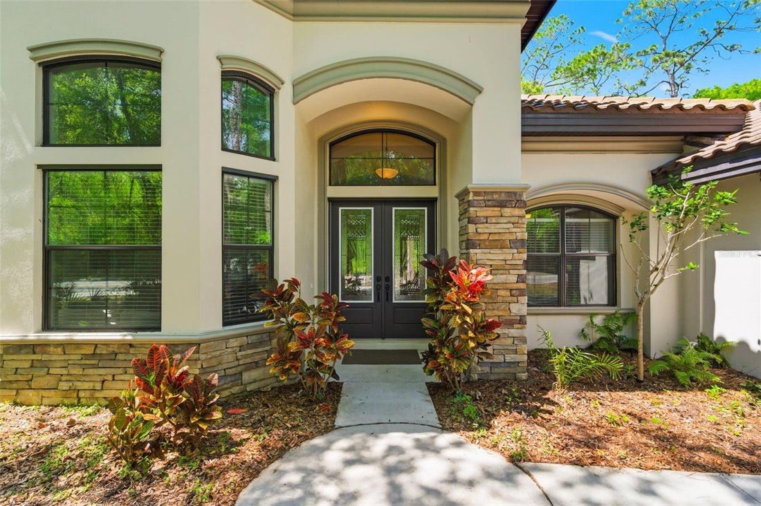 House in Palm Harbor, Florida, United States 1 - 17605098
