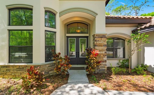 House in Palm Harbor, Florida, United States 1