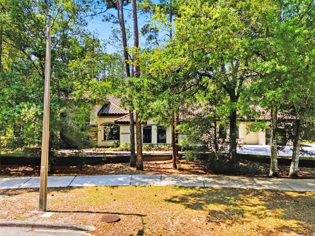 House in Palm Harbor, Florida, United States 3 - 17605098