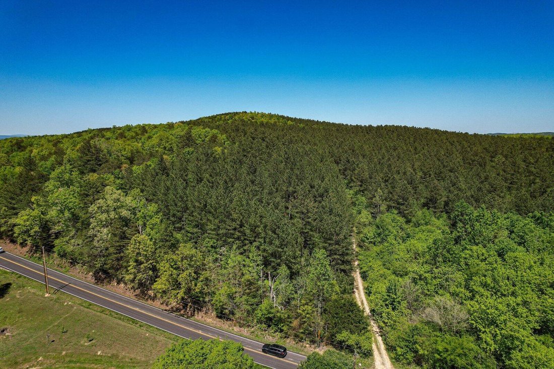 Farm Ranch in Decatur, Tennessee, United States 1 - 17611925