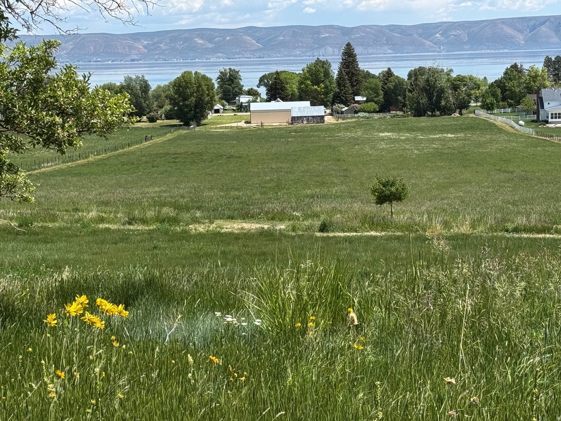 House in Fish Haven, Idaho, United States 4 - 17601444