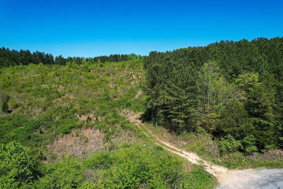 Farm Ranch in Decatur, Tennessee, United States 4 - 17611917