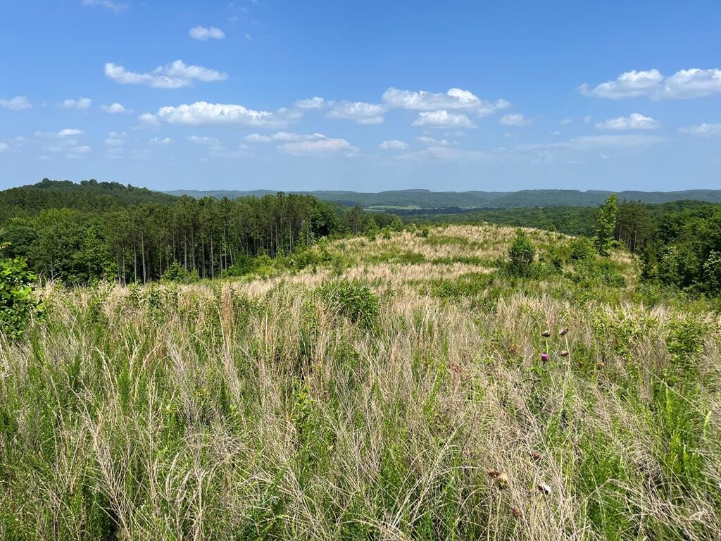 Farm Ranch in Athens, Tennessee, United States 1 - 17611947