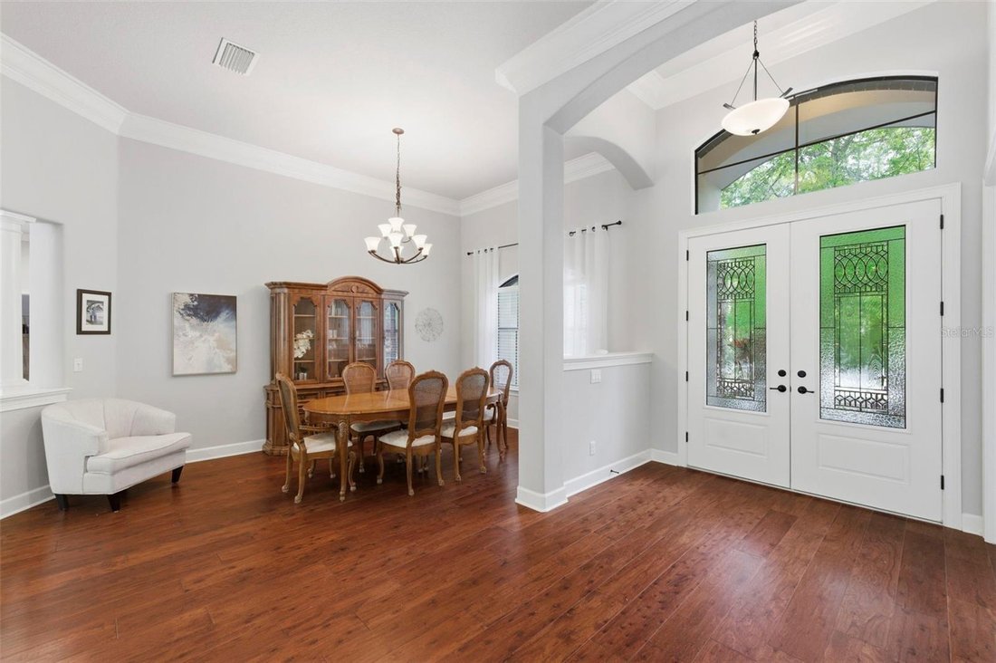 House in Palm Harbor, Florida, United States 5 - 17605098