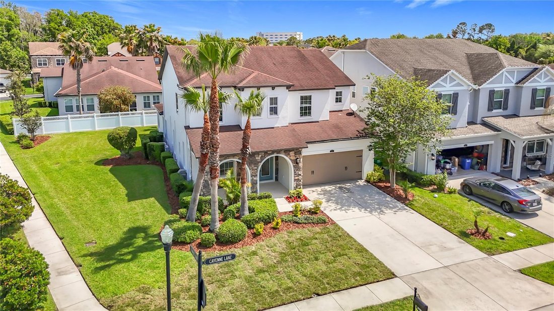 House in Wesley Chapel, Florida, United States 5 - 17604665