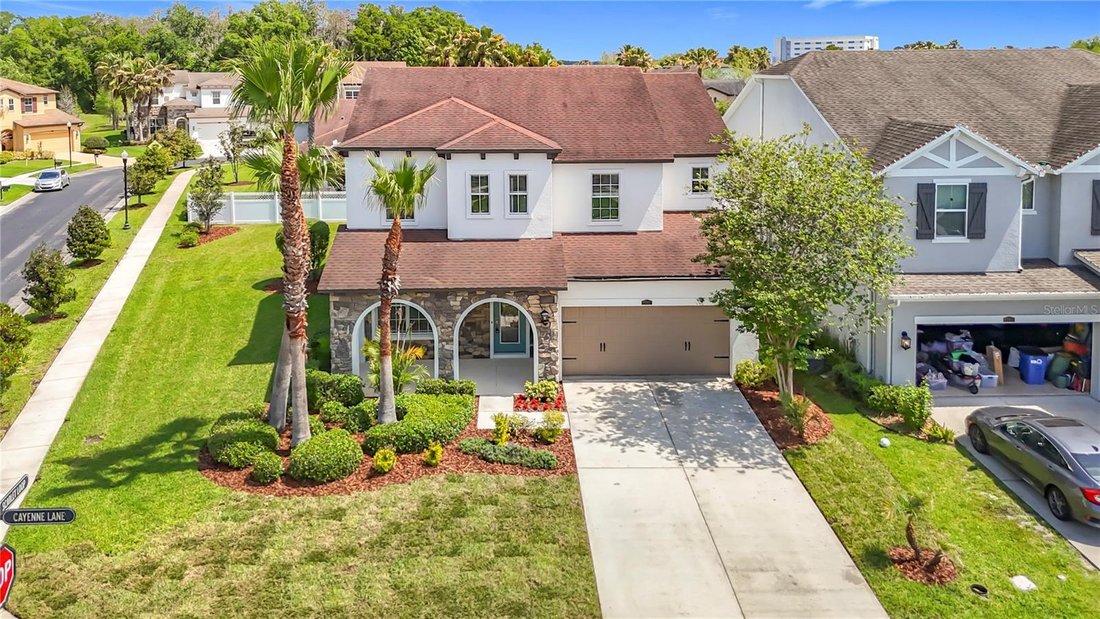 House in Wesley Chapel, Florida, United States 2 - 17604665