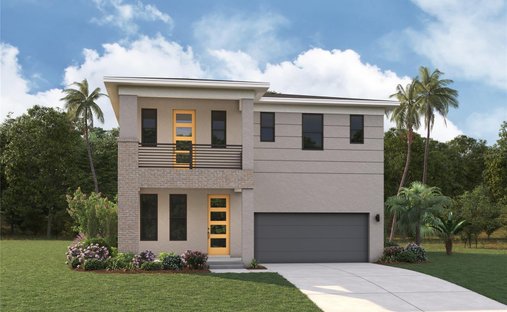 House in Tampa, Florida, United States 1