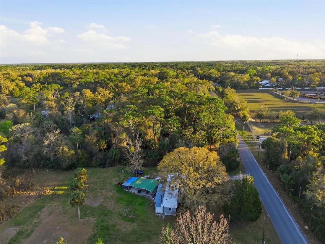 Homosassa, Florida, United States 3 - 17603991