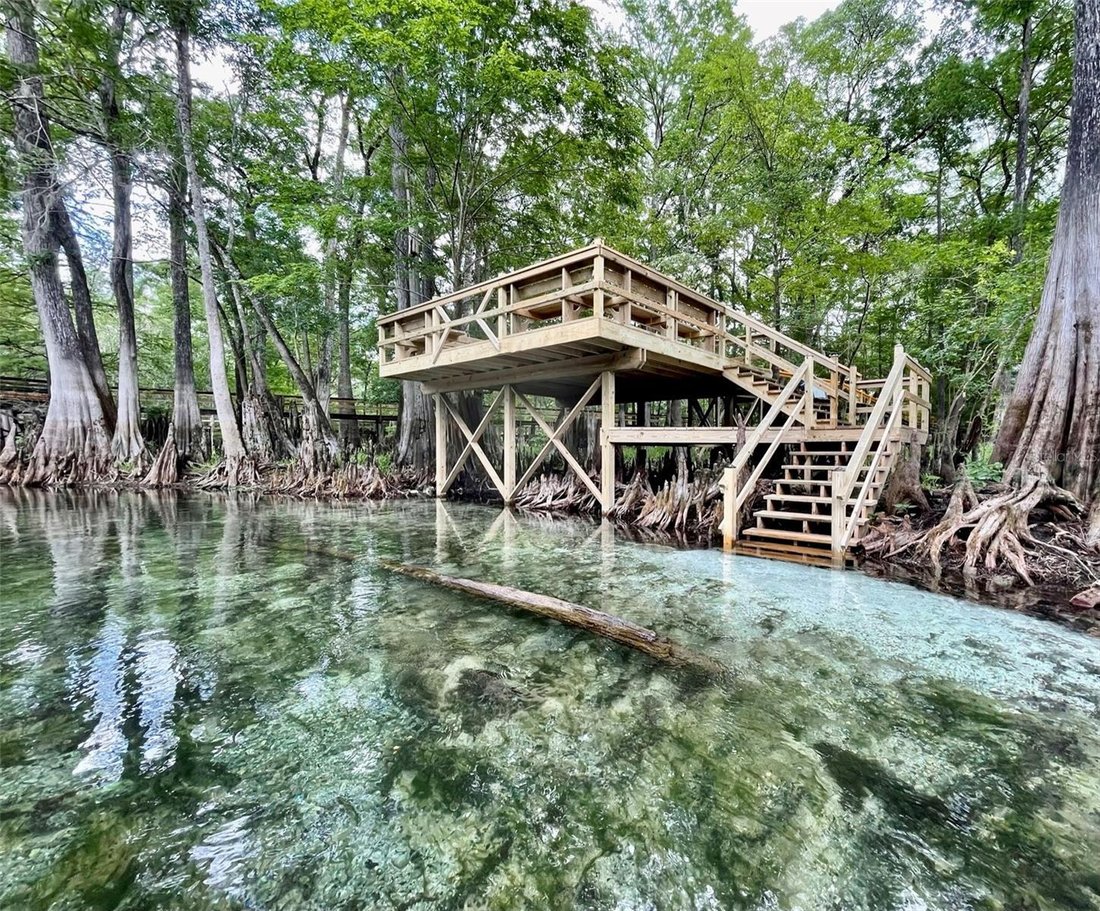 House in Fort White, Florida, United States 3 - 17604784