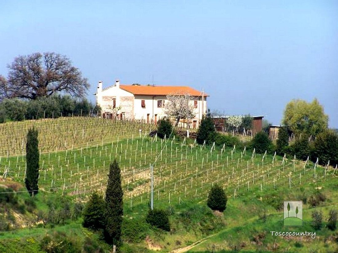 Country House in Terricciola, Tuscany, Italy 3 - 17612836