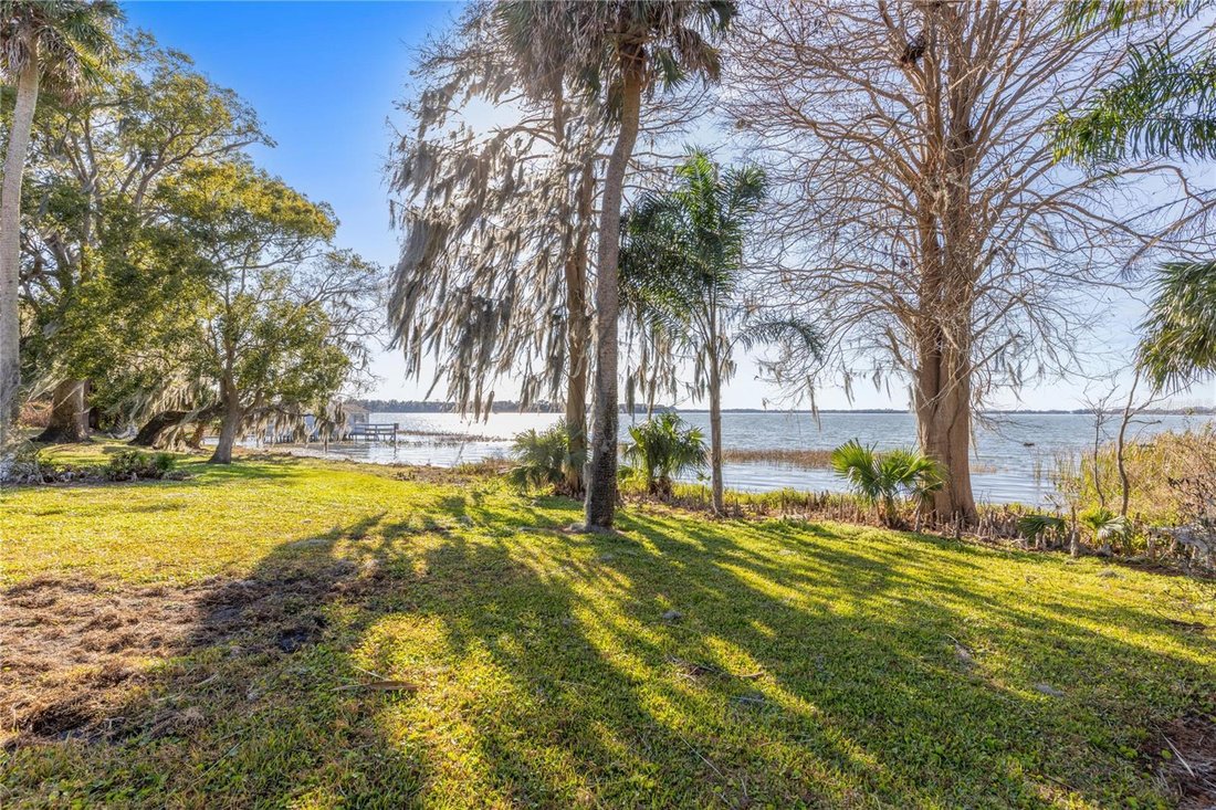 House in Mount Dora, Florida, United States 4 - 17604788