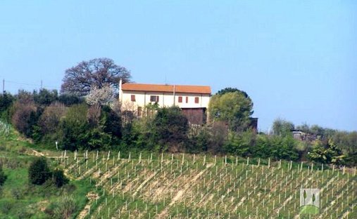 Country House in Terricciola, Tuscany, Italy 1