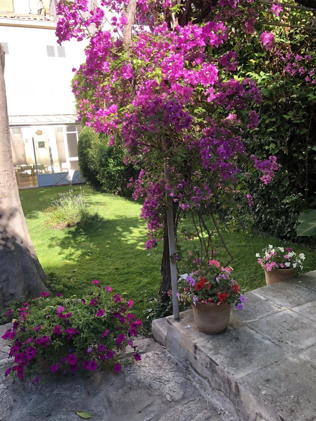 House in Périer, 8e Arrondissement, Marseille 2 - 17557063